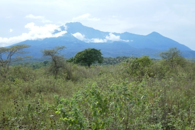 Mount Meru vom Arusha NP